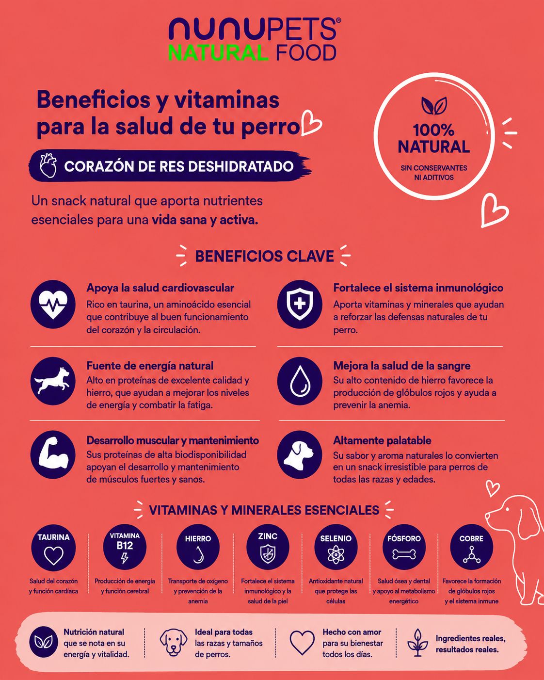 Corazón de Res Deshidratado